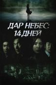 Дар небес: 14 дней (2014)